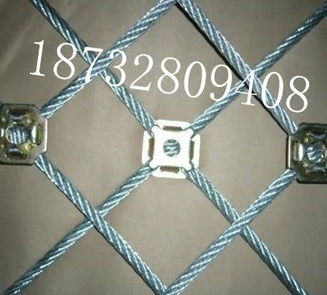 生产钢丝绳网 不锈钢钢丝绳网价格 生产钢丝绳网 不锈钢钢丝绳网型号规格