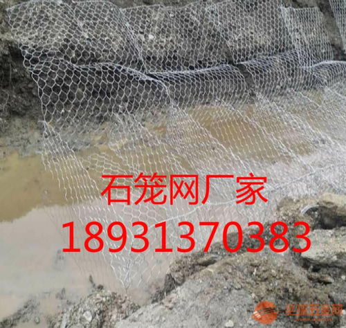 焊接网片建筑屋面浇筑专用钢丝网 嘉兴 宁波批发网