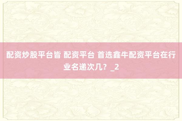 配资炒股平台皆 配资平台 首选鑫牛配资平台在行业名递次几？_2