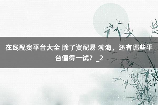 在线配资平台大全 除了资配易 渤海，还有哪些平台值得一试？_2